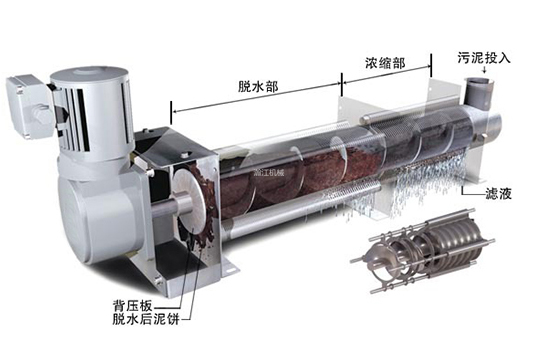 图片6 (2)